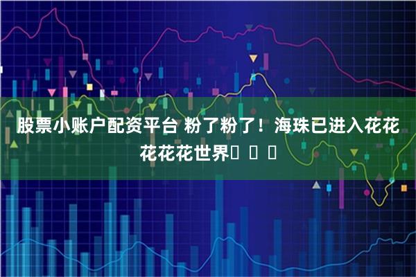 股票小账户配资平台 粉了粉了！海珠已进入花花花花花世界ꕥꕥꕥ